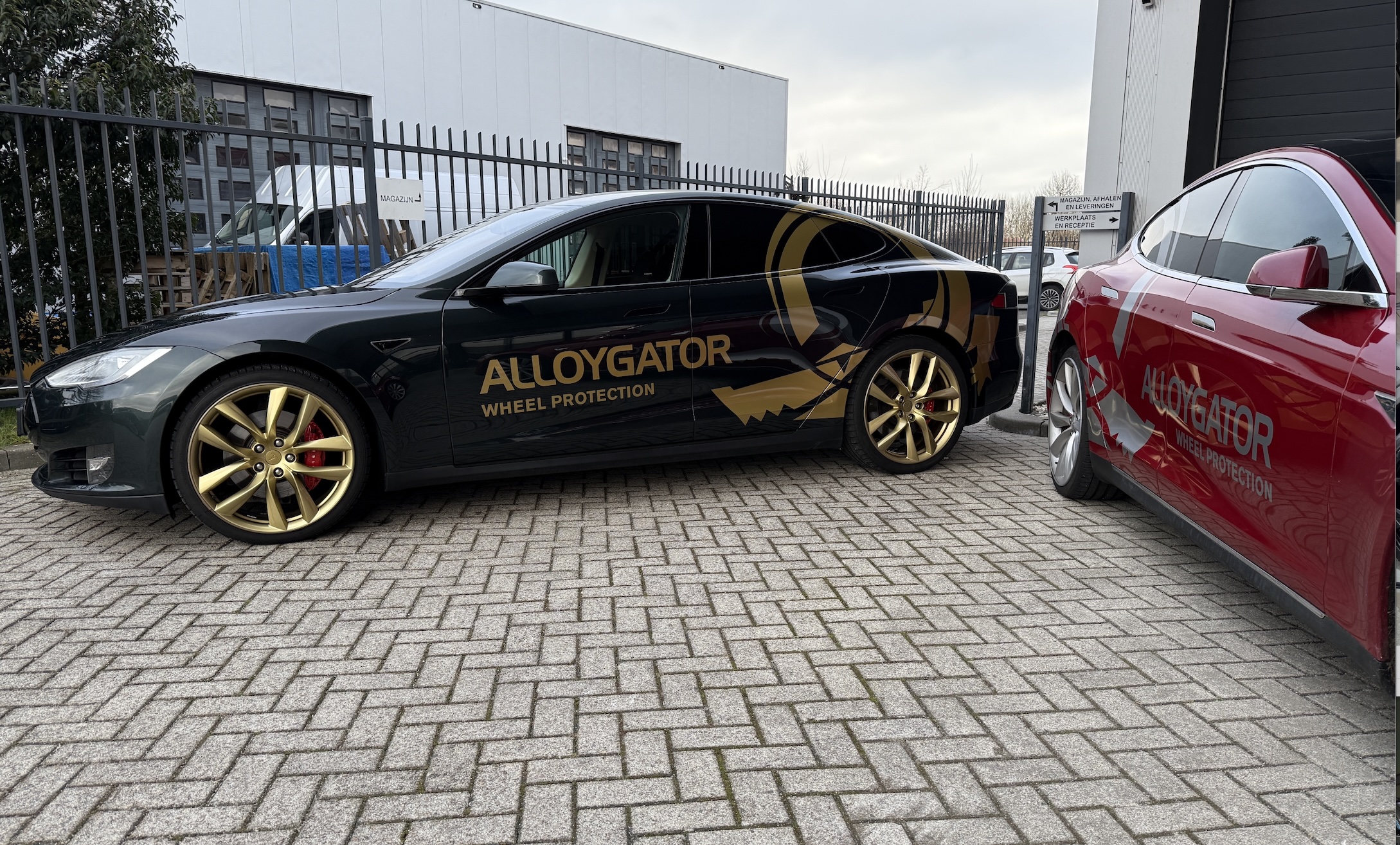Team AlloyGator NL